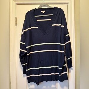 Elegant Navy and Cream V-Neck Sweater